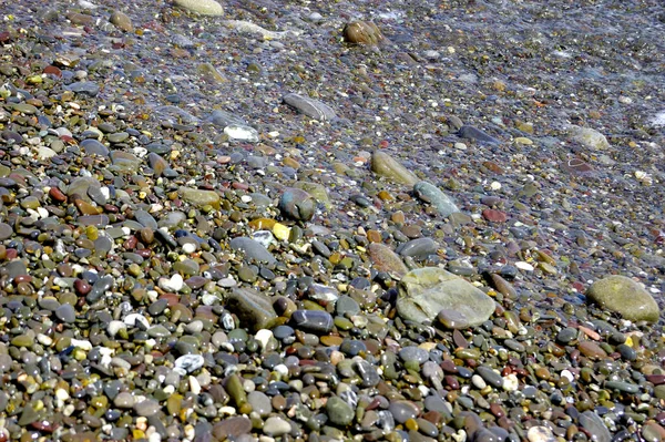 Kamienistej plaży nad morzem z wielokolorowe kamienie, przejrzyste fale z pianką, na ciepły, letni dzień — Zdjęcie stockowe
