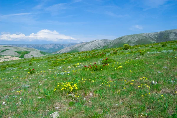 İlham verici manzaralı yaz manzarası.