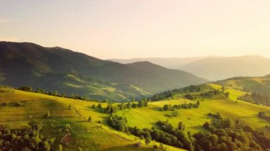 Karpatlar 'ın uçsuz bucaksız otlaklarının ve tarım arazilerinin havadan görünüşü. Tarım tarlası. Gün batımında kırsal dağ manzarası. Ukrayna.