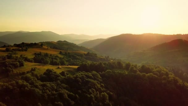 Letecký pohled na nekonečné bujné pastviny Karpat a zemědělské půdy. Pěstované zemědělské pole. Venkovská horská krajina při západu slunce. Ukrajina. — Stock video