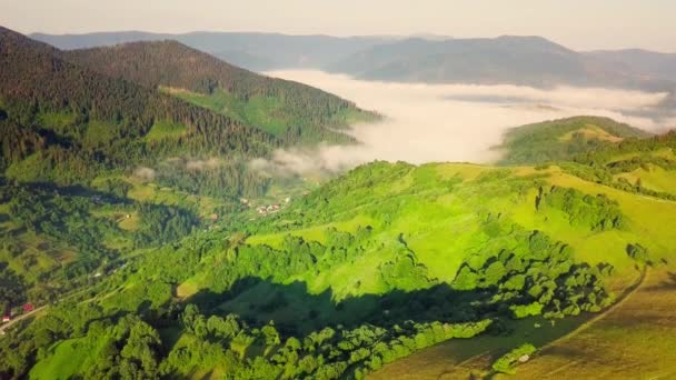 Vue aérienne des prairies luxuriantes infinies des Carpates et des terres agricoles. Champ agricole cultivé. Paysage montagneux rural au coucher du soleil. Ukraine. — Video