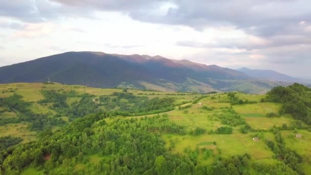 Vista aérea das pastagens exuberantes intermináveis das extensões dos Cárpatos e das terras agrícolas. Campo agrícola cultivado. Paisagem montanhosa rural ao pôr do sol. Ucrânia. — Vídeo de Stock