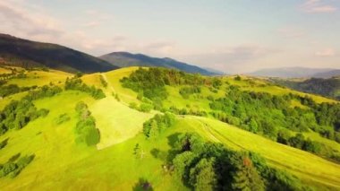 Karpatlar 'ın uçsuz bucaksız otlaklarının ve tarım arazilerinin havadan görünüşü. Tarım tarlası. Gün batımında kırsal dağ manzarası. Ukrayna.