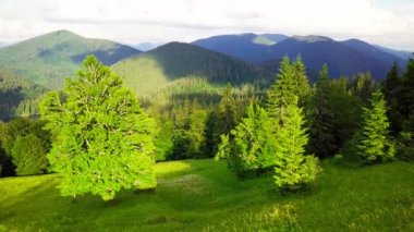Synevyrska açıklığındaki güzel çayırların, tepelerin ve ağaçların geniş açılı panoramik görüntüsü Synevyr gölünün yanında. Ukrayna 'daki Karpat dağlarının görkemli ve muhteşem manzaraları