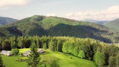 Dağ zirveleri ve sabah bulutları pürüzsüz hareket ediyor. Karpat Dağları 'nın çayırlarındaki yaz manzaralı vadi ağaçları. Ukrayna.