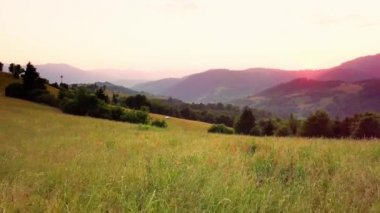 Karpatlar 'ın uçsuz bucaksız otlaklarının ve tarım arazilerinin havadan görünüşü. Tarım tarlası. Gün batımında kırsal dağ manzarası. Ukrayna.