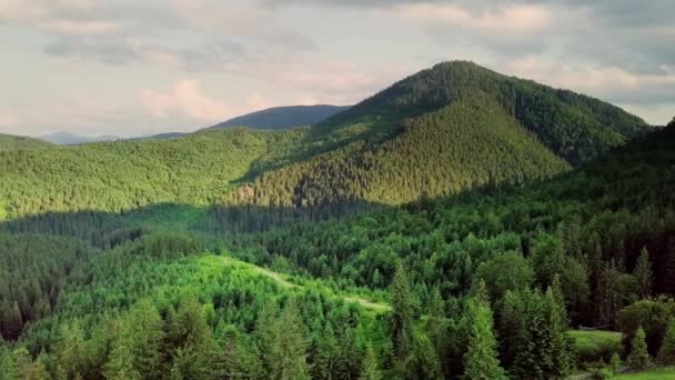 Βουνό κορυφές και πρωινό ουρανό με ομαλή κινούμενα σύννεφα. Καλοκαίρι τοπίο οδυνηρή κοιλάδα δέντρα στο λιβάδι στα Καρπάθια βουνά. Ουκρανία. — Αρχείο Βίντεο