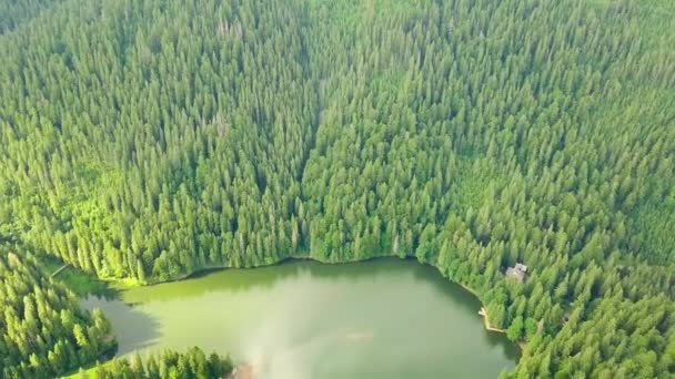 Вид с воздуха Карпатские горы летом. Природа Карпат, восхождение на озеро. Вид с воздуха Синевирское озеро, Украина — стоковое видео