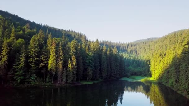Vista aérea Montagens Cárpatos no verão. Natureza dos Cárpatos, lago de montagem. Vista aérea Synevir lago, Ucrânia — Vídeo de Stock