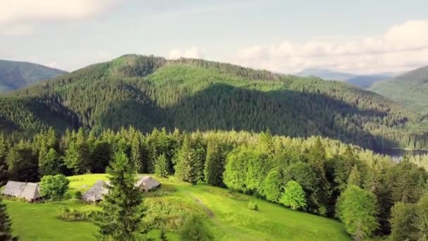 Bergtoppen en ochtendlucht met gladde bewegende wolken. Zomer landschap pijnlijke vallei bomen in de weide bij Karpaten bergen. Oekraïne. — Stockvideo