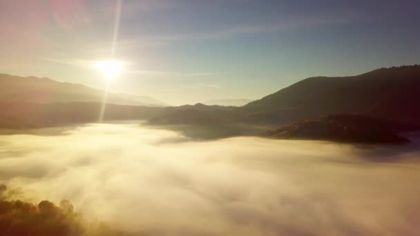 Una maravillosa sensación de una nube en movimiento en una montaña después de la lluvia. Vuelo por encima de las nubes durante el amanecer, vista superior de las nubes y las montañas desde un dron. Cárpatos, paso Synevyr, Ucrania. — Vídeos de Stock