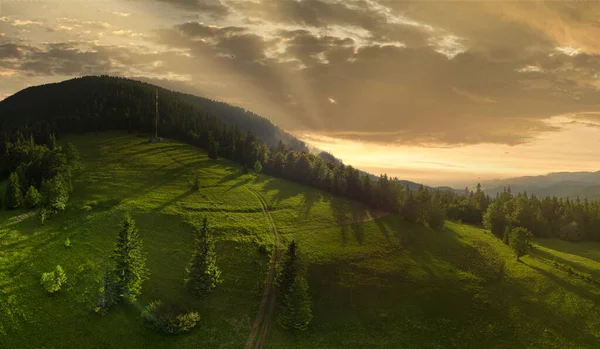 Széles látószögű panoráma felvétel gyönyörű rétek, dombok és fák Synevyrska tisztáson mellett Synevyr tó. Fenséges és csodálatos tájak a Kárpátok Ukrajna — Stock Fotó