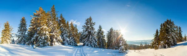 Maravilhosamente majestosa paisagem de inverno brilhando pela luz solar. cena invernal. Cárpatos, Ucrânia, Europa. Mundo da beleza. Feliz Ano Novo — Fotografia de Stock