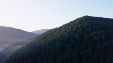 Dağ zirveleri ve sabah bulutları pürüzsüz hareket ediyor. Karpat Dağları 'nın çayırlarındaki yaz manzaralı vadi ağaçları. Ukrayna.