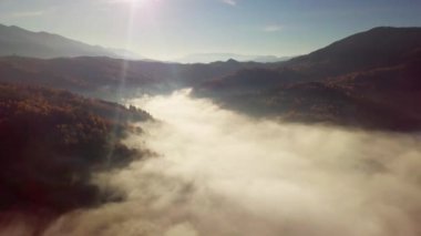 Yağmurdan sonra dağda hareket eden bir bulutun harika hissi. Güneş doğarken bulutların üstünde uçmak, bir drondan bulutların ve dağların en üst görüntüsü. Karpatlar, Synevyr geçidi, Ukrayna.
