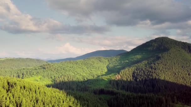 Des sommets montagneux et un ciel matinal avec des nuages doux et mouvants. Paysage estival paisibles arbres de vallée dans la prairie aux montagnes des Carpates. Ukraine. — Video