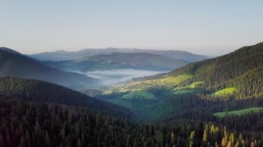 Dağ zirveleri ve sabah bulutları pürüzsüz hareket ediyor. Karpat Dağları 'nın çayırlarındaki yaz manzaralı vadi ağaçları. Ukrayna.