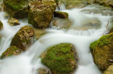 Taşlar. Dağ deresi. Kayalık kıyı. Su kayaların üzerinden akar.. 