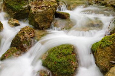 Taşlar. Dağ deresi. Kayalık kıyı. Su kayaların üzerinden akar.. 