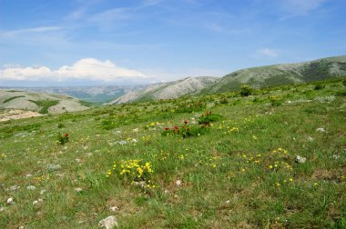 İlham verici manzaralı bir yaz manzarası. Kırım dağları. Kırım Yarımadası. Yarımada Rusya Federasyonu 'na katılmıştı. Ukrayna.