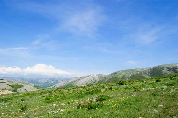Un paisaje de campo de verano inspirador. Montañas de Crimea. Península de Crimea. La península fue anexada a la Federación Rusa. Ucrania. —  Fotos de Stock