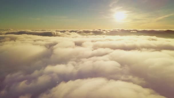 4K Drone vliegt in de wolken. Vlucht door de wolken tijdens zonsopgang, bovenaanzicht van de wolken vanaf de drone. Nationaal Park Shipit Karpat. Karpaten, Pylypets, Oekraïne. — Stockvideo