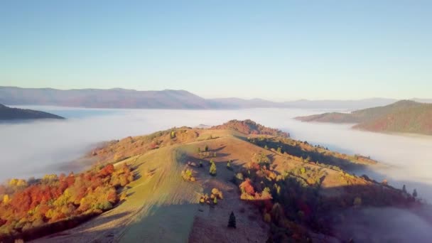 Ein wunderbares Gefühl einer sich bewegenden Wolke auf einem Berg nach Regen. Flug über den Wolken bei Sonnenaufgang, Draufsicht über die Wolken und Berge von einer Drohne aus. Karpaten, Synevyr-Pass, Ukraine. — Stockvideo