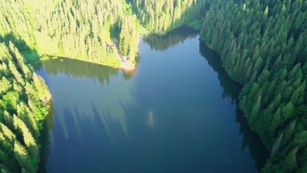 Luchtfoto Karpatische bevestigingsmiddelen in de zomer. De aard van de Karpaten, montage lake. Luchtfoto Synevir lake, Oekraïne — Stockvideo