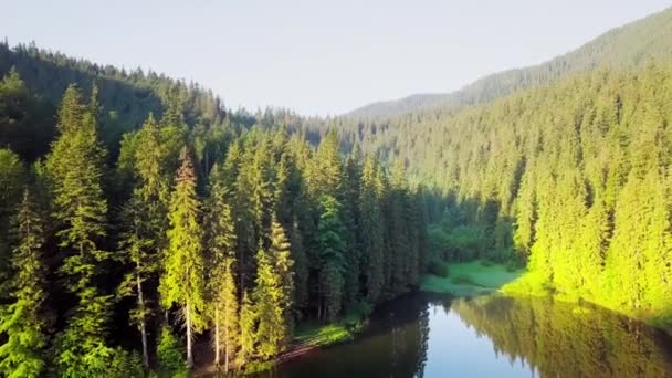 鸟图在夏季登上。喀尔巴泰的自然, 安装的湖泊。鸟图 synevir lake, 乌克兰 — 图库视频影像
