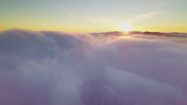 4K İHA bulutlarda uçuyor. Güneş doğarken bulutların arasından uçmak, İHA 'dan bulutların en üst görüntüsü. Ulusal Park Shipit Karpat. Karpatlar, Pylypets, Ukrayna. — Stok video