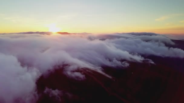 4K Drone vliegt in de wolken. Vlucht door de wolken tijdens zonsopgang, bovenaanzicht van de wolken vanaf de drone. Nationaal Park Shipit Karpat. Karpaten, Pylypets, Oekraïne. — Stockvideo