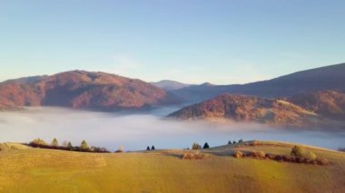 Yağmurdan sonra dağda hareket eden bir bulutun harika hissi. Güneş doğarken bulutların üstünde uçmak, bir drondan bulutların ve dağların en üst görüntüsü. Karpatlar, Synevyr geçidi, Ukrayna.