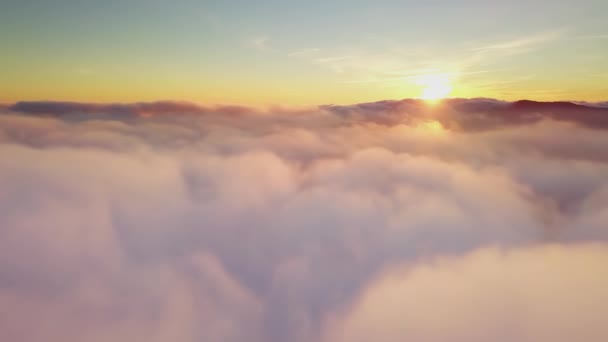 4K Drone vliegt in de wolken. Vlucht door de wolken tijdens zonsopgang, bovenaanzicht van de wolken vanaf de drone. Nationaal Park Shipit Karpat. Karpaten, Pylypets, Oekraïne. — Stockvideo