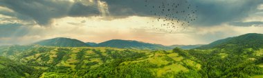 Karpatlar 'ın uçsuz bucaksız otlaklarının ve tarım arazilerinin havadan görünüşü. Tarım tarlası. Gün batımında kırsal dağ manzarası. Ukrayna.