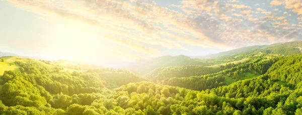 Karpatlar 'ın uçsuz bucaksız otlaklarının ve tarım arazilerinin havadan görünüşü. Tarım tarlası. Gün batımında kırsal dağ manzarası. Ukrayna.
