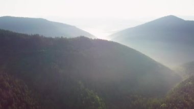 Dağ zirveleri ve sabah bulutları pürüzsüz hareket ediyor. Karpat Dağları 'nın çayırlarındaki yaz manzaralı vadi ağaçları. Ukrayna.