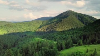 Dağ zirveleri ve sabah bulutları pürüzsüz hareket ediyor. Karpat Dağları 'nın çayırlarındaki yaz manzaralı vadi ağaçları. Ukrayna.