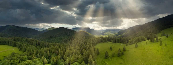 Weitwinkelpanorama von schönen Wiesen, Hügeln und Bäumen auf der Lichtung Synevyrska neben dem See Synevyr. Majestätische und wunderschöne Landschaften der Karpaten in der Ukraine — Stockfoto