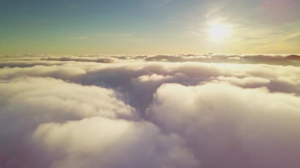 4K Drone vliegt in de wolken. Vlucht door de wolken tijdens zonsopgang, bovenaanzicht van de wolken vanaf de drone. Nationaal Park Shipit Karpat. Karpaten, Pylypets, Oekraïne. — Stockvideo