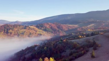 Yağmurdan sonra dağda hareket eden bir bulutun harika hissi. Güneş doğarken bulutların üstünde uçmak, bir drondan bulutların ve dağların en üst görüntüsü. Karpatlar, Synevyr geçidi, Ukrayna.