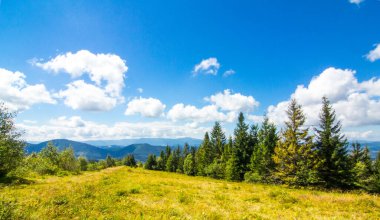 Dağlarda sis olan sonbahar manzarası. Tepelerdeki orman.