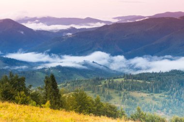 Dağlarda sis olan sonbahar manzarası. Tepelerdeki orman.