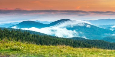 Dağlarda sis olan sonbahar manzarası. Tepelerdeki orman.