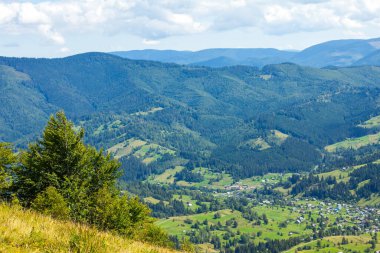 Dağlarda sis olan sonbahar manzarası. Tepelerdeki orman.