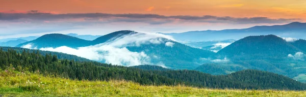 Autumn landscape with fog in the mountains. Fir forest on the hills. — Stock Photo, Image