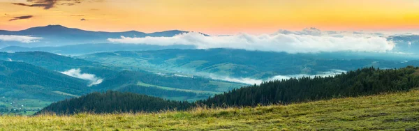 Herbstliche Landschaft mit Nebel in den Bergen. Tannenwald auf den Hügeln. — Stockfoto