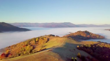 Yağmurdan sonra dağda hareket eden bir bulutun harika hissi. Güneş doğarken bulutların üstünde uçmak, bir drondan bulutların ve dağların en üst görüntüsü. Karpatlar, Synevyr geçidi, Ukrayna.