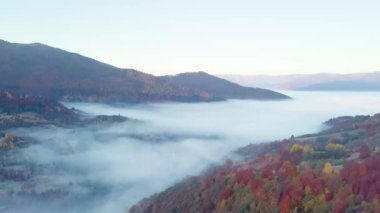 Yağmurdan sonra dağda hareket eden bir bulutun harika hissi. Güneş doğarken bulutların üstünde uçmak, bir drondan bulutların ve dağların en üst görüntüsü. Karpatlar, Synevyr geçidi, Ukrayna.