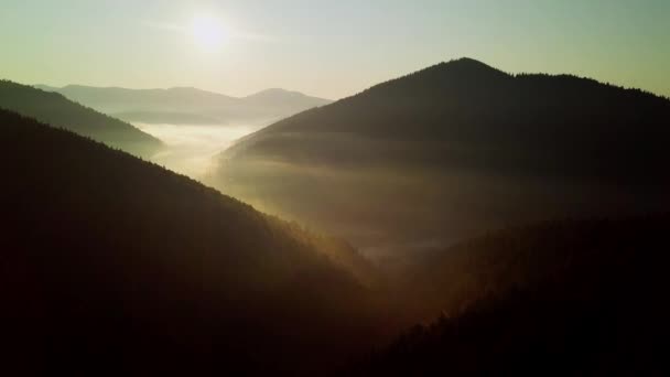 Dağ zirveleri ve sabah bulutları pürüzsüz hareket ediyor. Karpat Dağları 'nın çayırlarındaki yaz manzaralı vadi ağaçları. Ukrayna. — Stok video