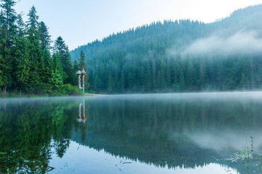 Güzel doğa ve bereketli yeşil ormanlar ve Karpatlar 'ın incisinin etrafındaki bitki örtüsüyle harika bir manzara - Synevyr Gölü. Ukrayna 'daki Karpatlar. Büyük köknar üzerinde mistik sis. 